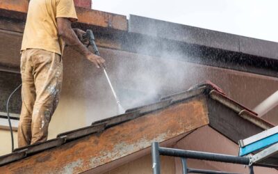 Avoid DIY Disasters: Top 10 House Washing Mistakes